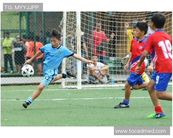 徐圩足球明星盘点与成就分析揭示他们的辉煌历程与影响力