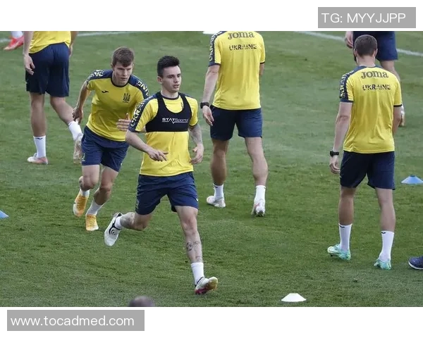 乌克兰足球明星的璀璨星空与他们的辉煌成就探秘