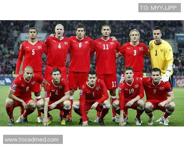 乔治罗尼亚对阵什球队的精彩对决分析与赛前预测 乔治罗尼亚对阵什球队的精彩对决分析与赛前预测