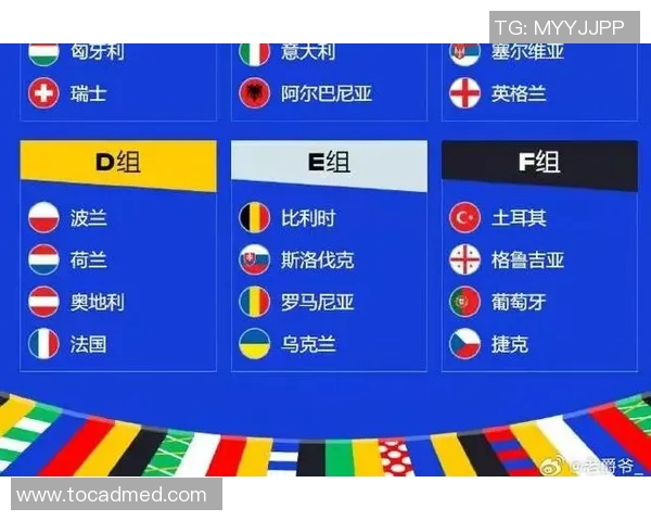 欧洲杯预选赛各球队战绩分析与排名情况全面解读